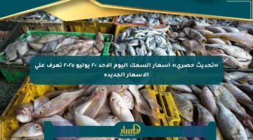 «تحديث حصري» أسعار السمك اليوم الأحد ٢٠ يوليو ٢٠٢٥ تعرف على الأسعار الجديدة
